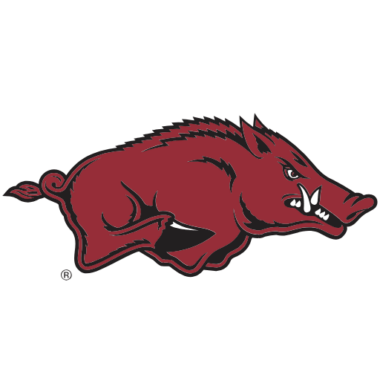 Arkansas Razorbacks Tumblers