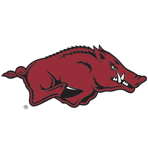 Arkansas Razorbacks Tumblers