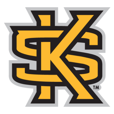 Kennesaw State Owls Tumblers