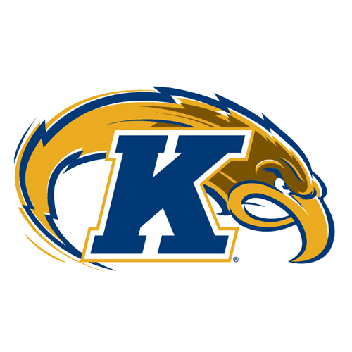 Kent State Golden Flashes Tumblers