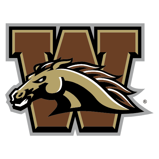 Western Michigan Broncos Tumblers