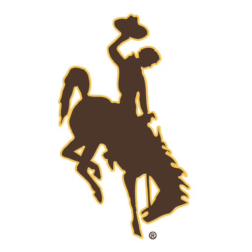 Wyoming Cowboys Tumblers